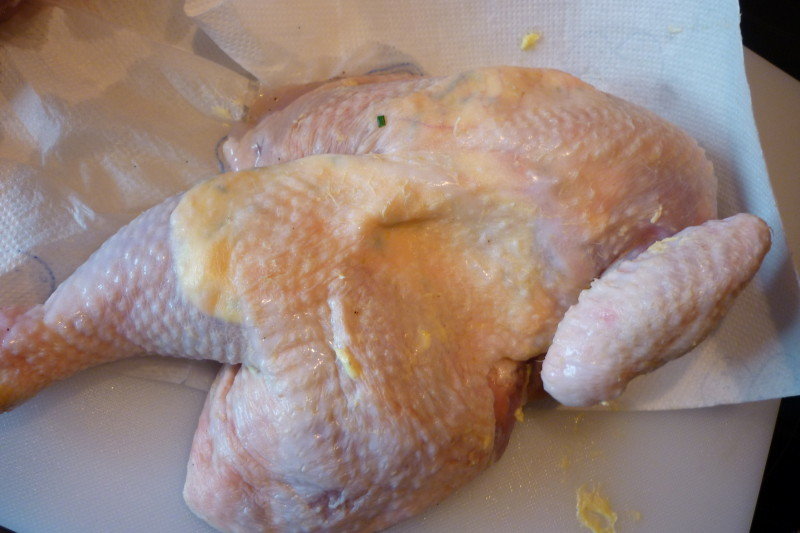 chicken6.JPG