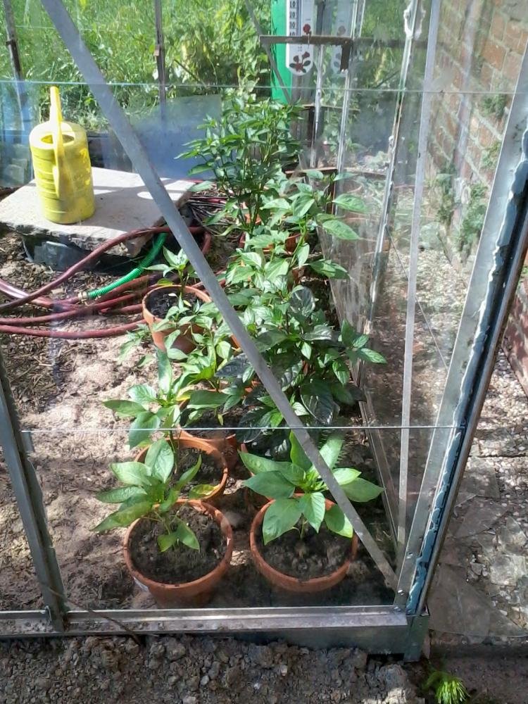 2012-06-22 17.30.55.jpg