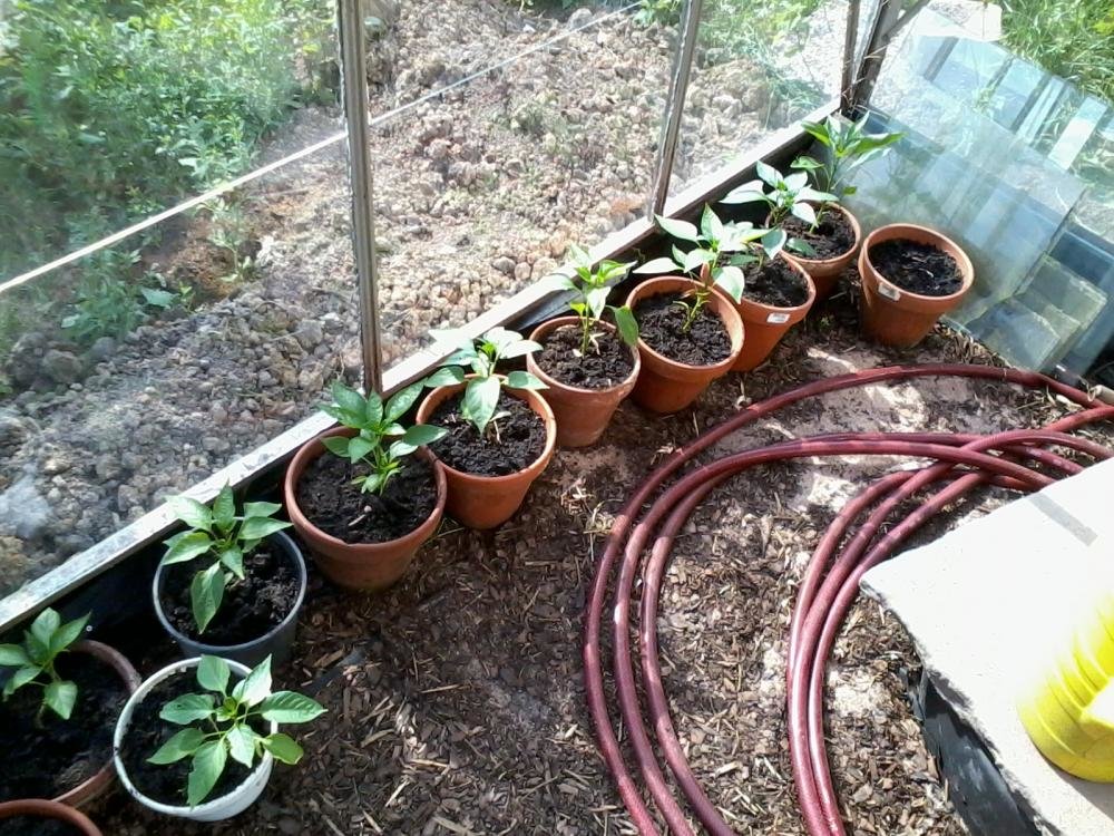 2012-06-22 17.30.28.jpg