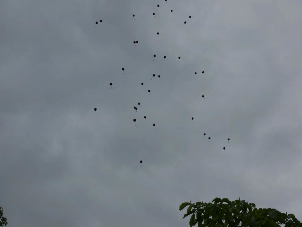 k-P1210441.jpg