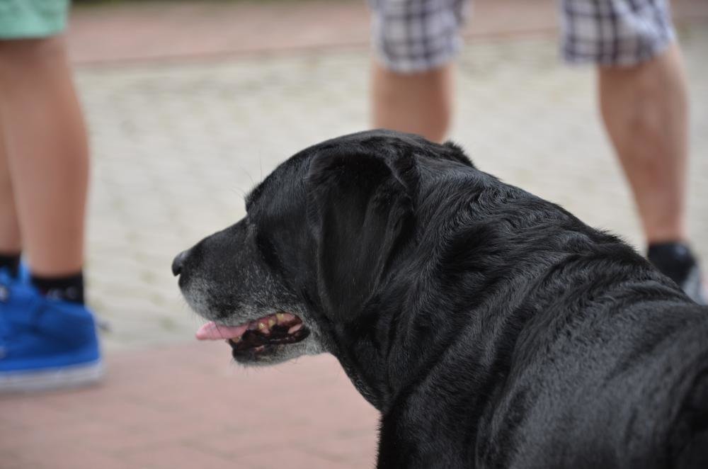 DSC_1694.jpg