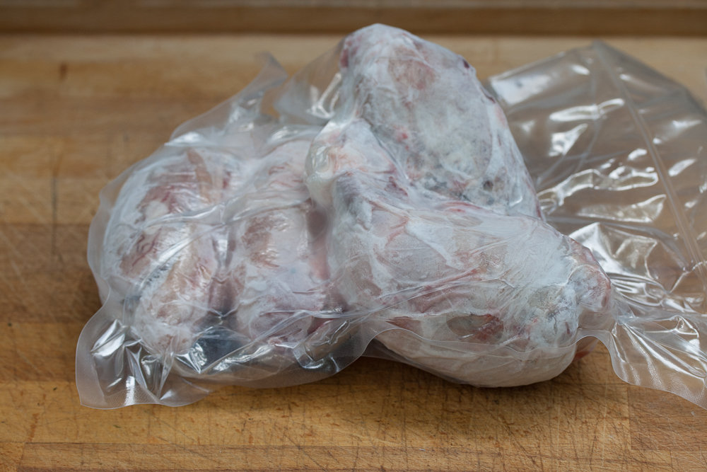 PigSnoots (1 von 22).jpg PigSnoots (1 von 22).jpg