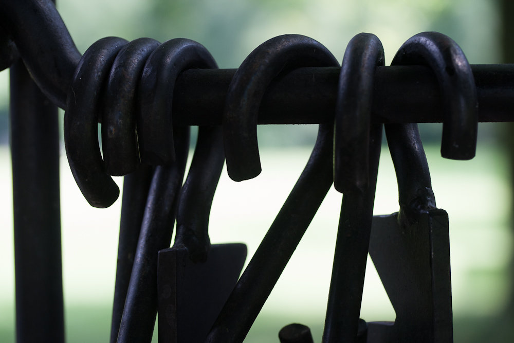 PigSnoots (2 von 22).jpg PigSnoots (2 von 22).jpg