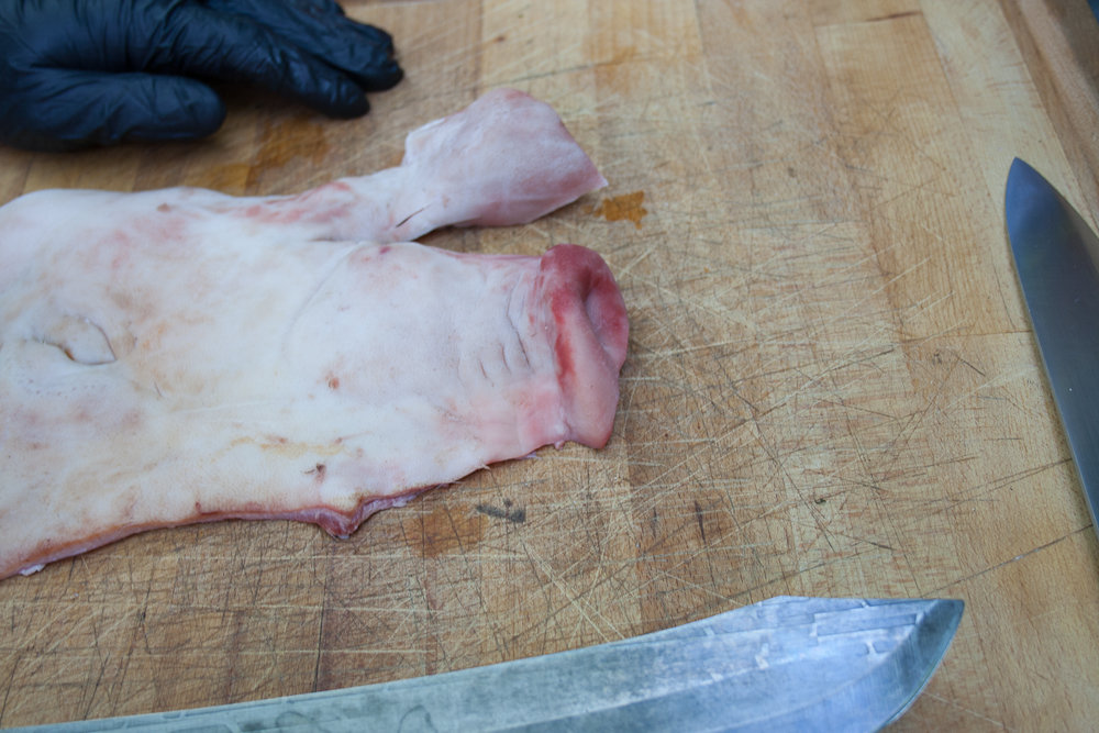 PigSnoots (3 von 22).jpg PigSnoots (3 von 22).jpg