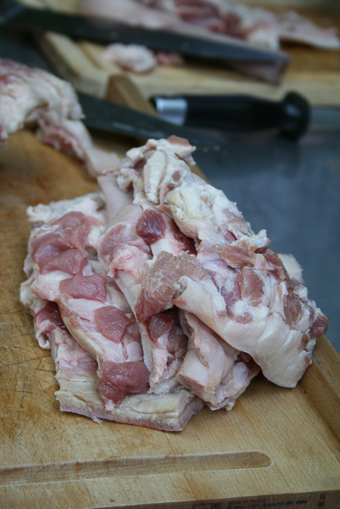 PigSnoots (5 von 22).jpg PigSnoots (5 von 22).jpg