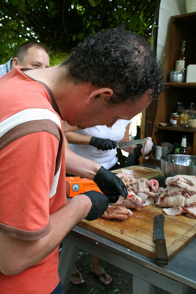 PigSnoots (12 von 22).jpg PigSnoots (12 von 22).jpg