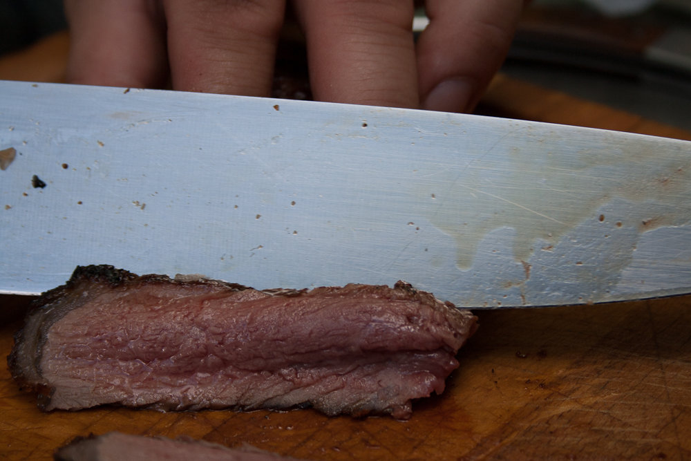 PigSnoots (17 von 22).jpg PigSnoots (17 von 22).jpg