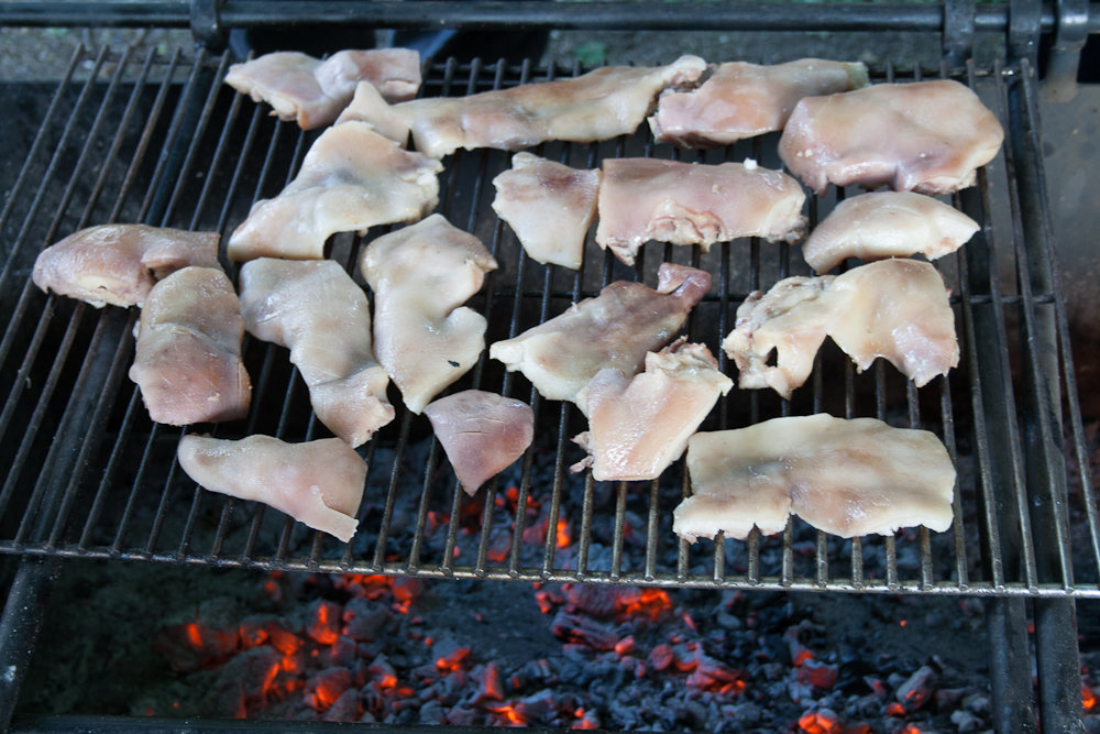 PigSnoots (20 von 22).jpg PigSnoots (20 von 22).jpg