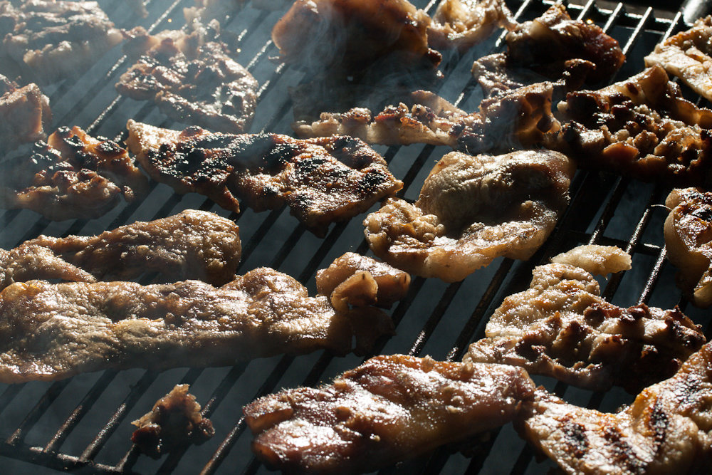 PigSnoots (21 von 22).jpg PigSnoots (21 von 22).jpg