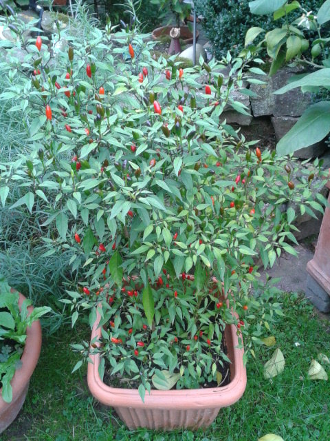 2014-09-27 09.59.45.jpg