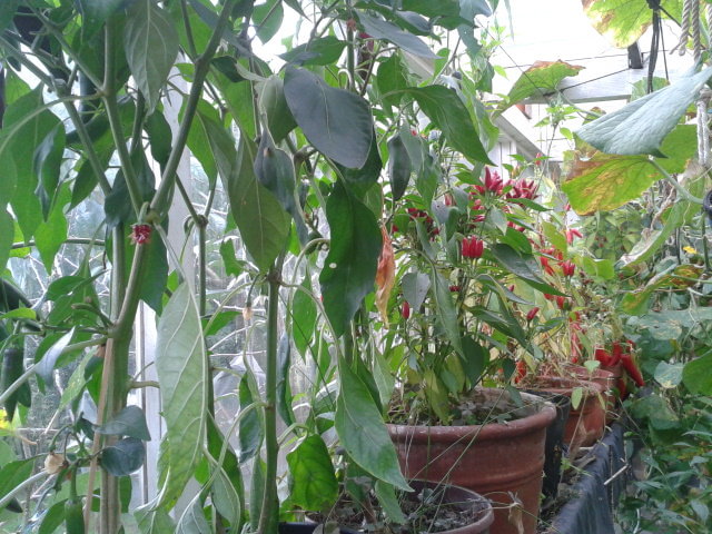 2014-09-27 10.00.55.jpg
