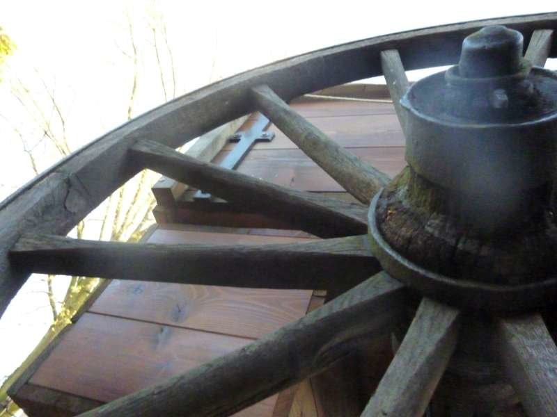 P1000693-800.jpg
