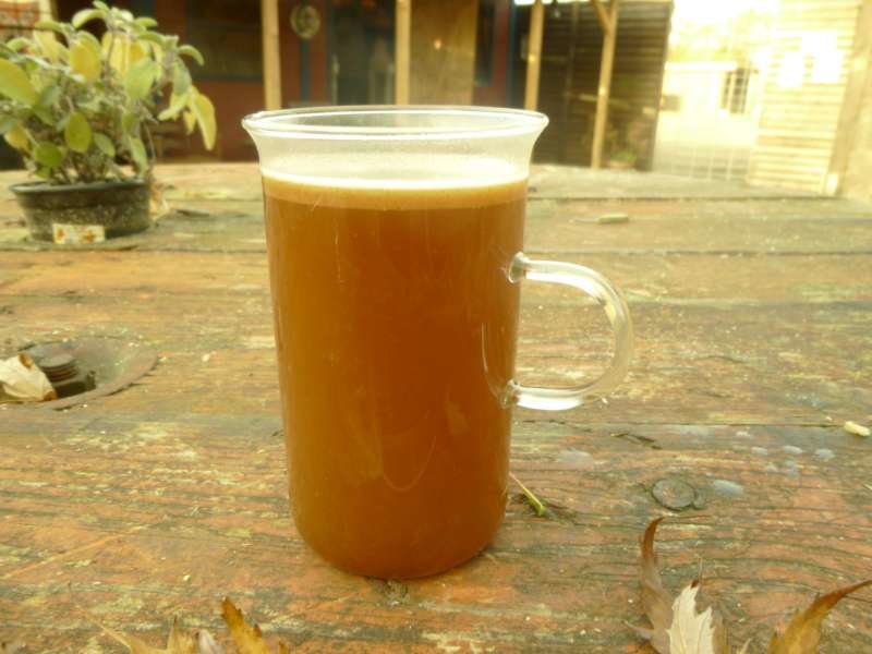 P1000780-800.jpg
