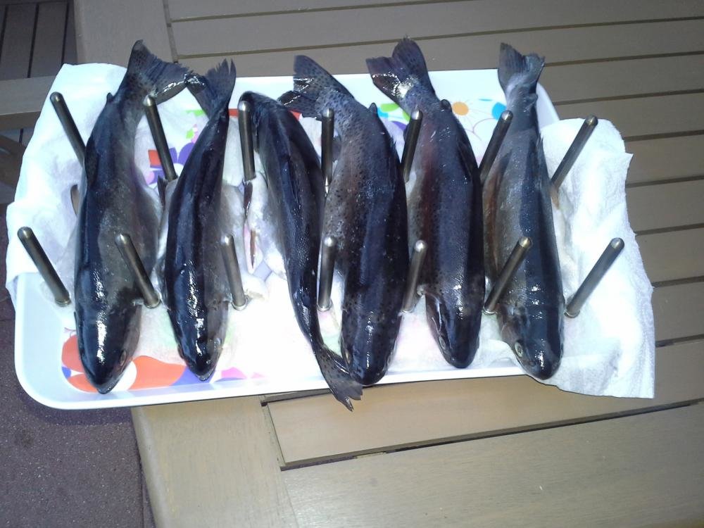 20141123_160028.jpg