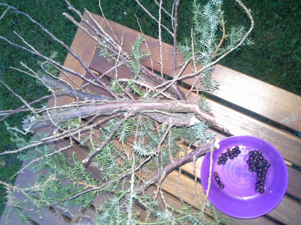 20141123_161200.jpg