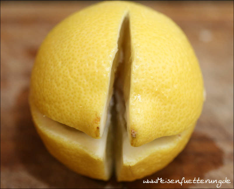 eingelegte Zitronen (003 von 003).jpg