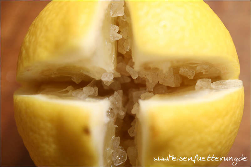 eingelegte Zitronen (004 von 004).jpg