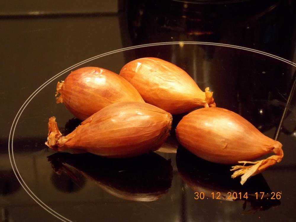 DSCN0191.jpg