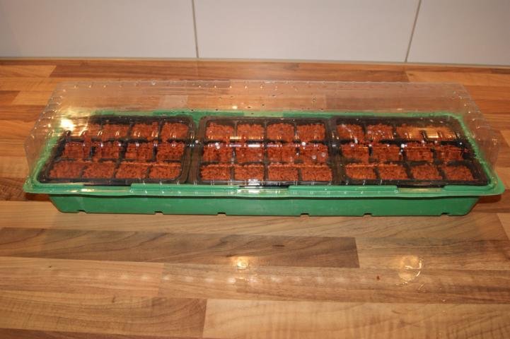 DSC09220.JPG