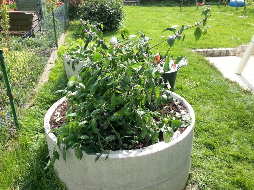 WP_20150429_007.jpg