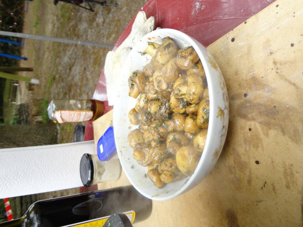 DSC02062.jpg