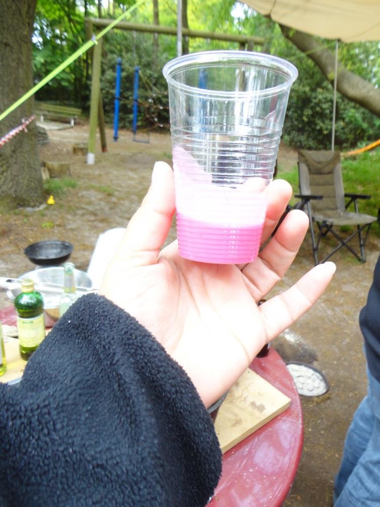 DSC02066.jpg