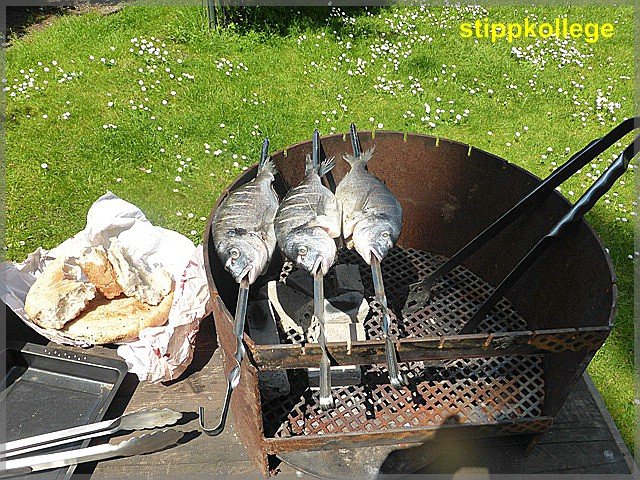 comp_Fisch 005.jpg