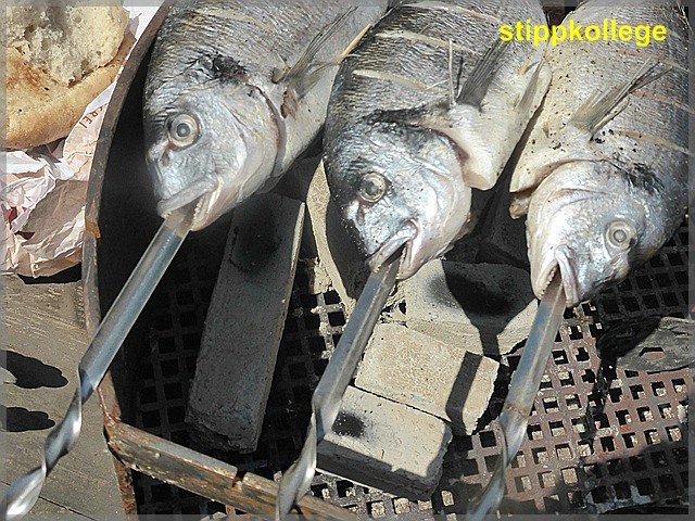 comp_Fisch 008.jpg