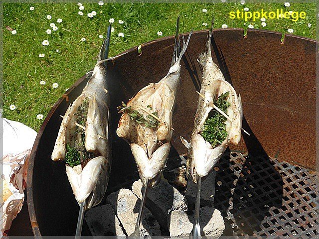 comp_Fisch 012.jpg