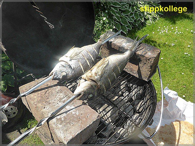 comp_Fisch 014.jpg