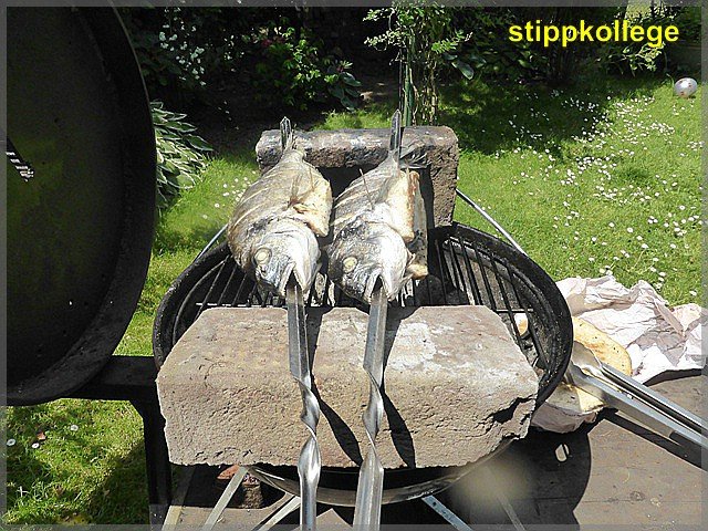 comp_Fisch 015.jpg