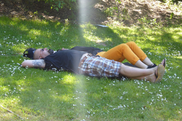 Piraten_OT_Wrexen_2015-06_187.jpg
