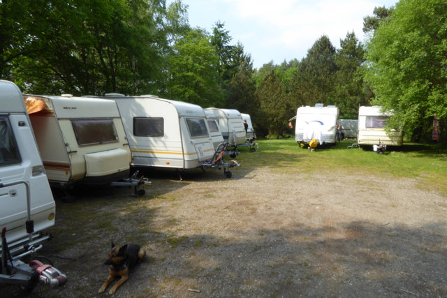 Piraten_OT_Wrexen_2015-06_278.jpg
