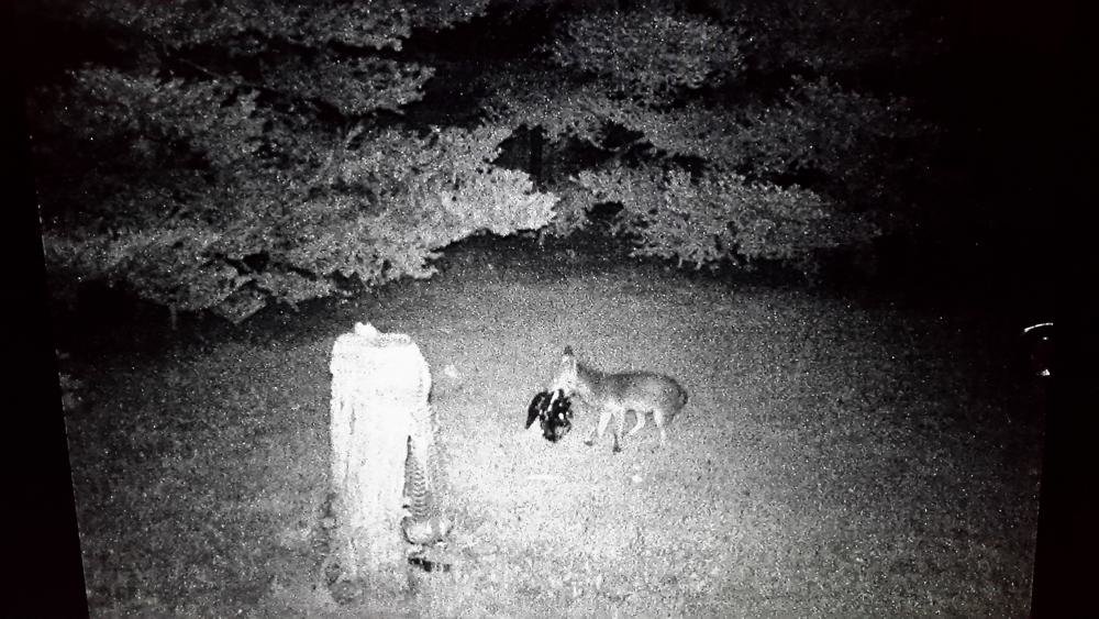 20150613_215938.jpg