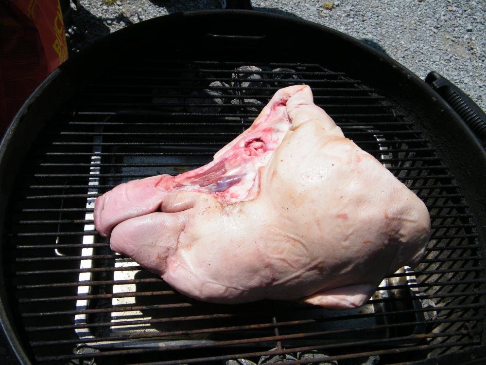 DSCF1181.jpg