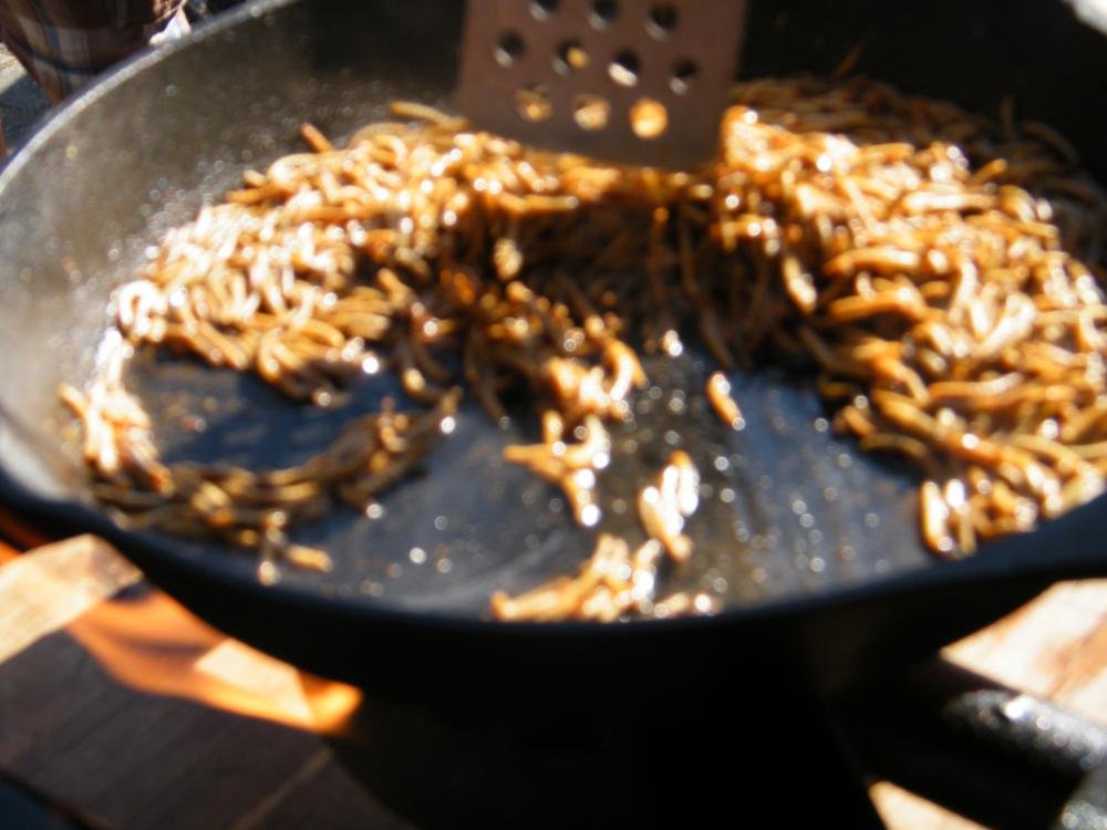 DSCF1229.jpg