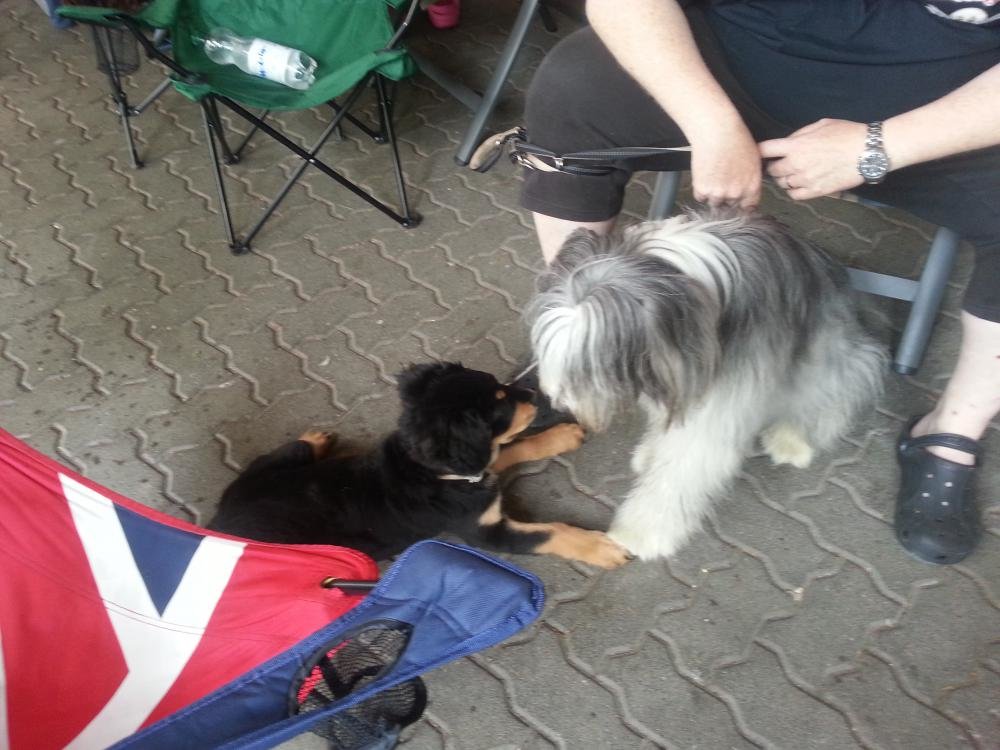 20150606_124920.jpg