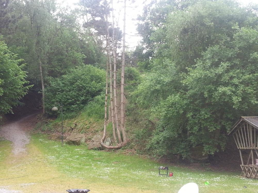 20150606_125833.jpg