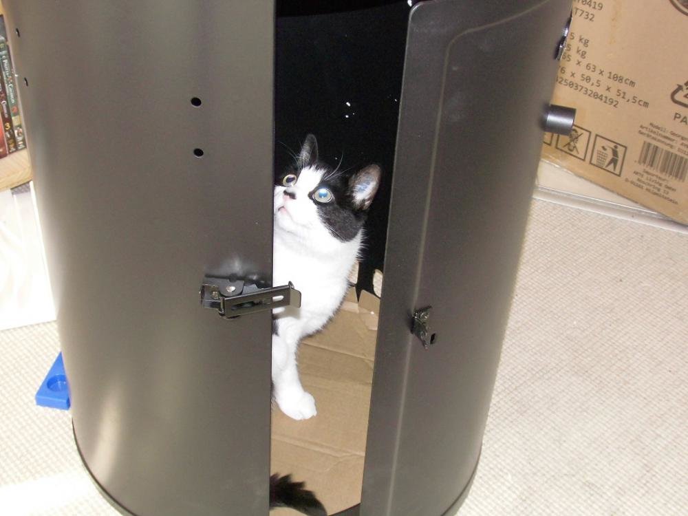 es Katzentest.jpg