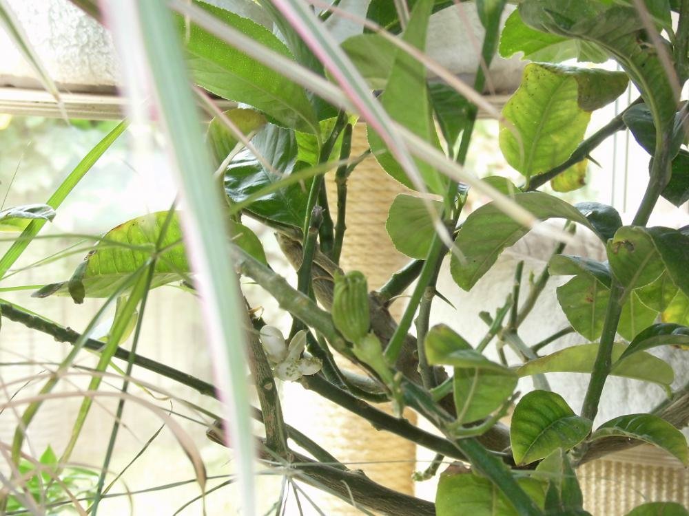 Buddhas Händchen.jpg