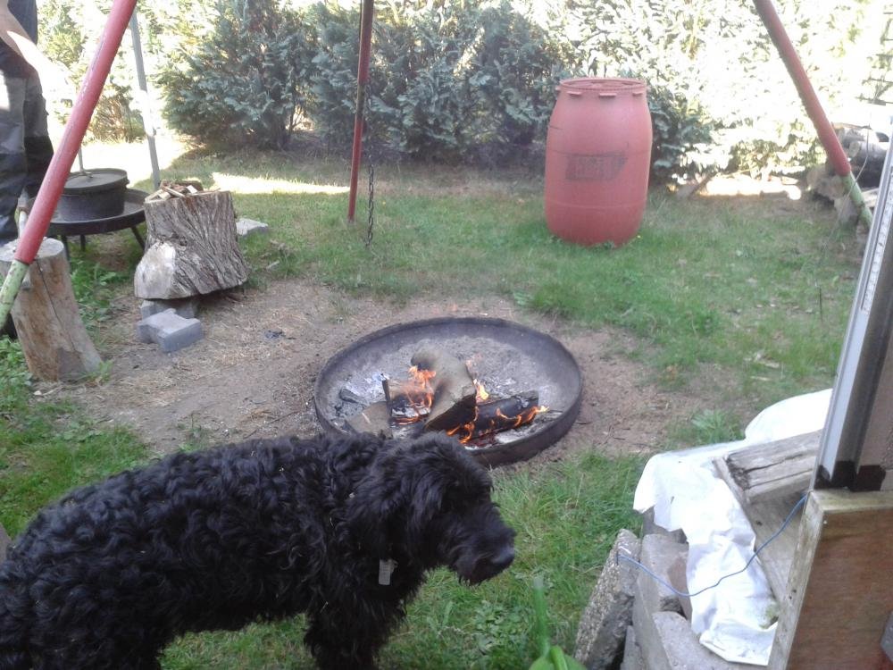 20150911_161559.jpg