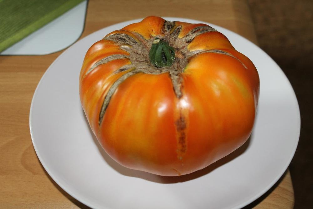Ernte1.jpg