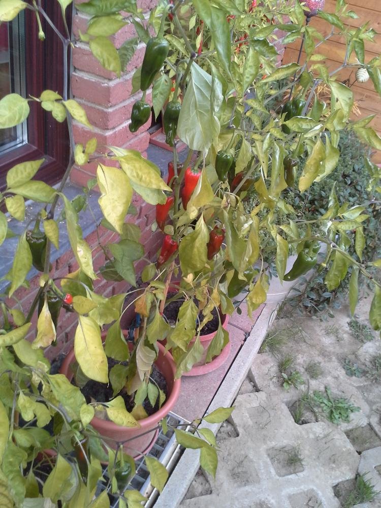 20151003_172205.jpg