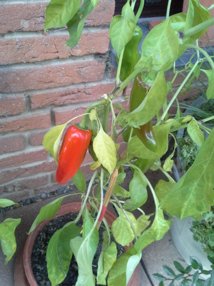 20151003_172304.jpg