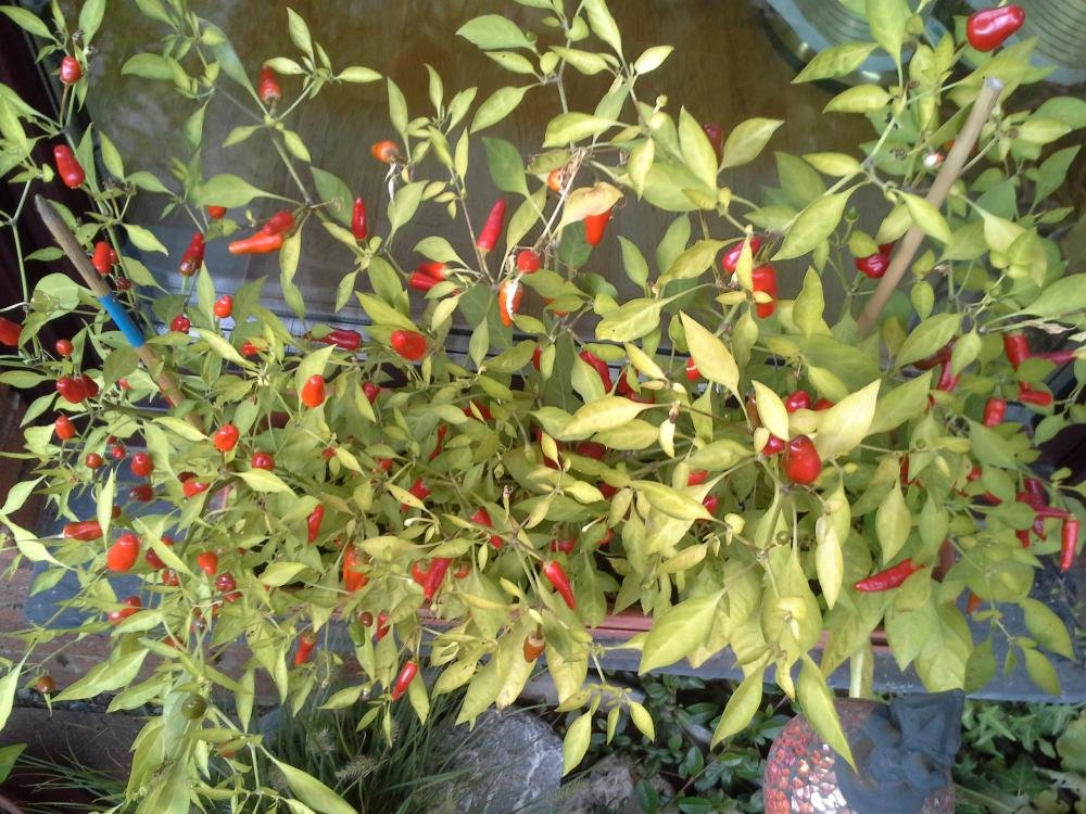 20151003_172322.jpg
