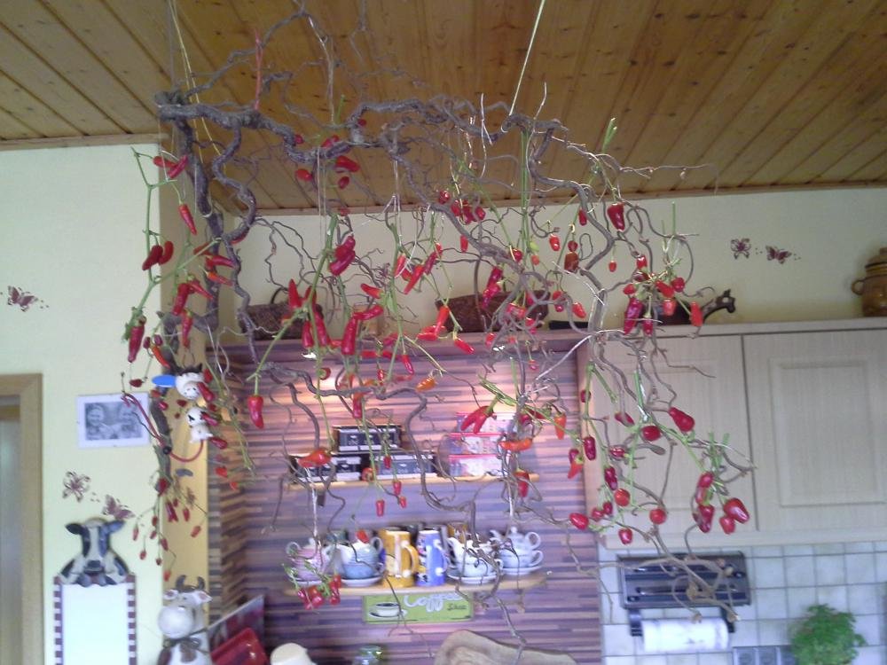 20151018_131337.jpg