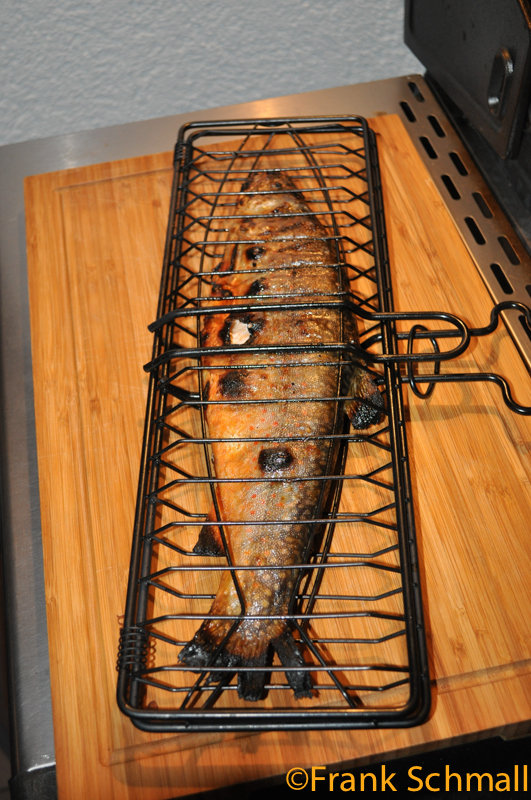 DSC_2305.jpg