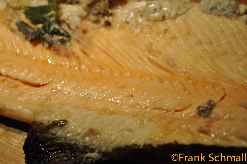DSC_2310.jpg