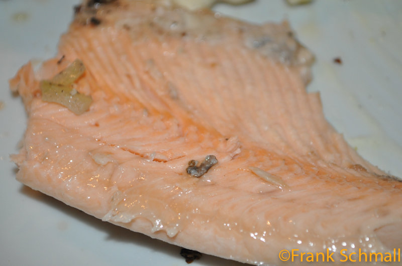 DSC_2312.jpg