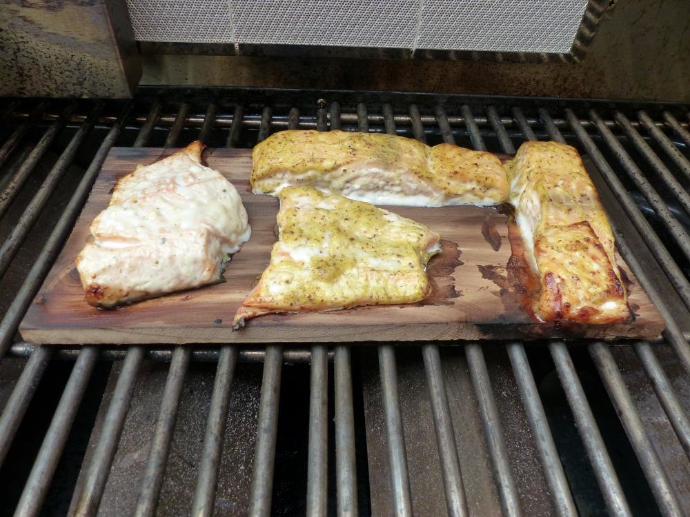 P1010467.jpg
